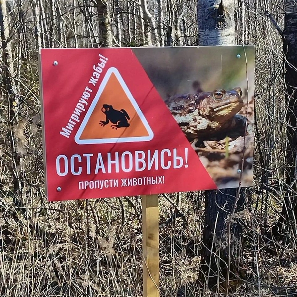 Источник: Комитет по природопользованию Петербурга