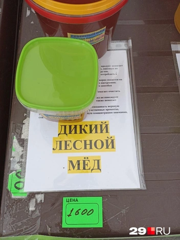 Источник: Иван Митюшёв / 29.RU