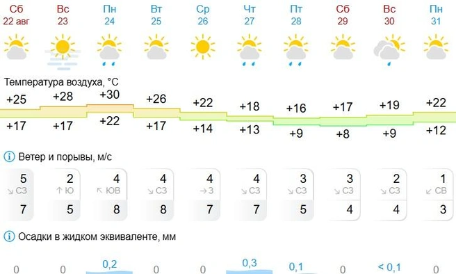 Большого количества осадков на следующей неделе не выпадет | Источник: Gismeteo