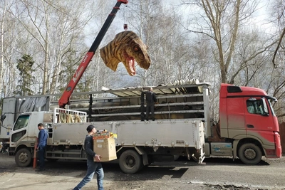 Термы в ЦПКиО планируют на месте парка динозавров