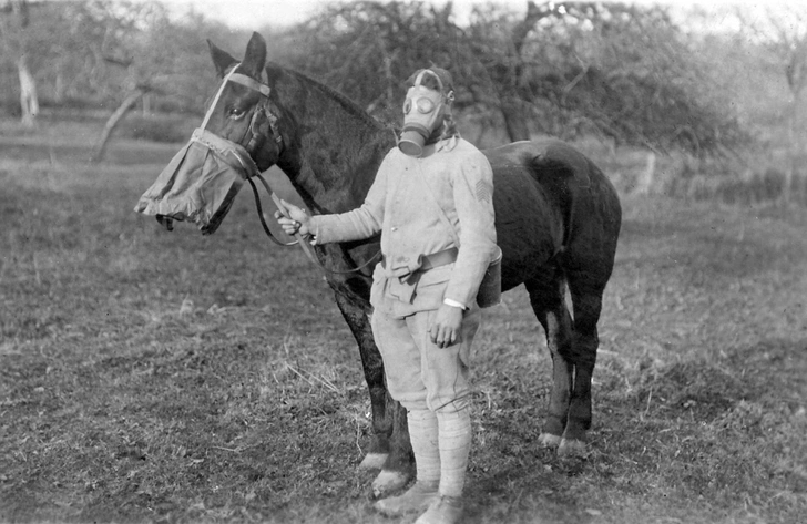 Фатальное лето 1914-го: как клубок международных противоречий привел к Первой мировой войне