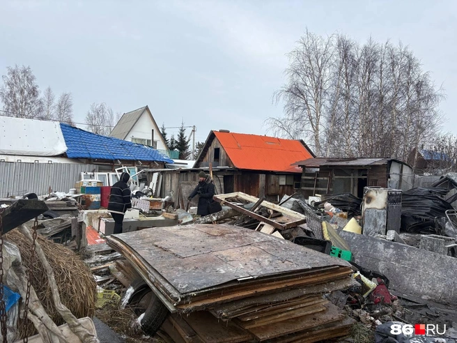 Источник: Анастасия Сидорова / 86.RU