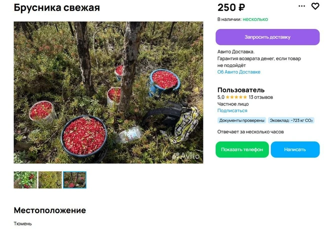 «Цена указана за литр»&nbsp;— лаконично указал продавец | Источник: сайт бесплатных объявлений