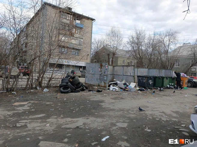Часто мусор раздувает с помоек и урн | Источник: читатель E1.RU