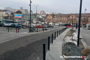 Источник: Елена Буйвол / VADIVOSTOK1.RU