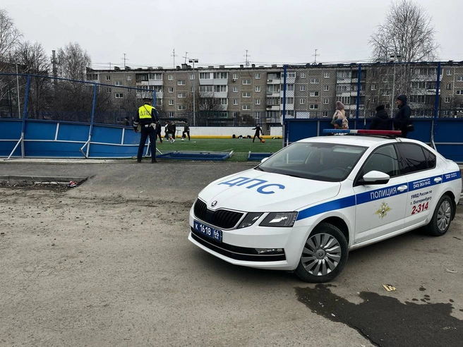 Источник: ГИБДД по Свердловской области