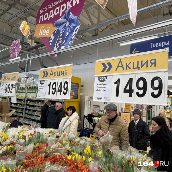 Источник: Сергей Петунин / 164.RU