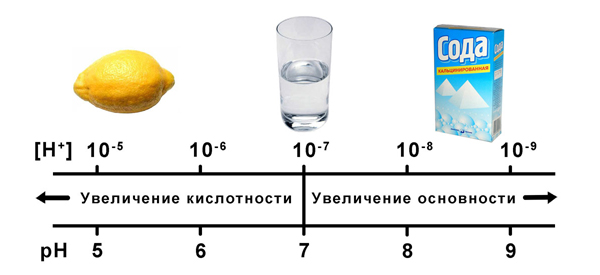 Чувств наших логарифмы