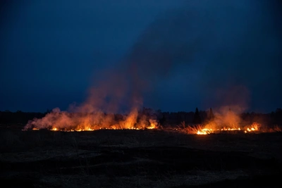 Пожар у дач в Искитиме: МЧС ищет поджигателя