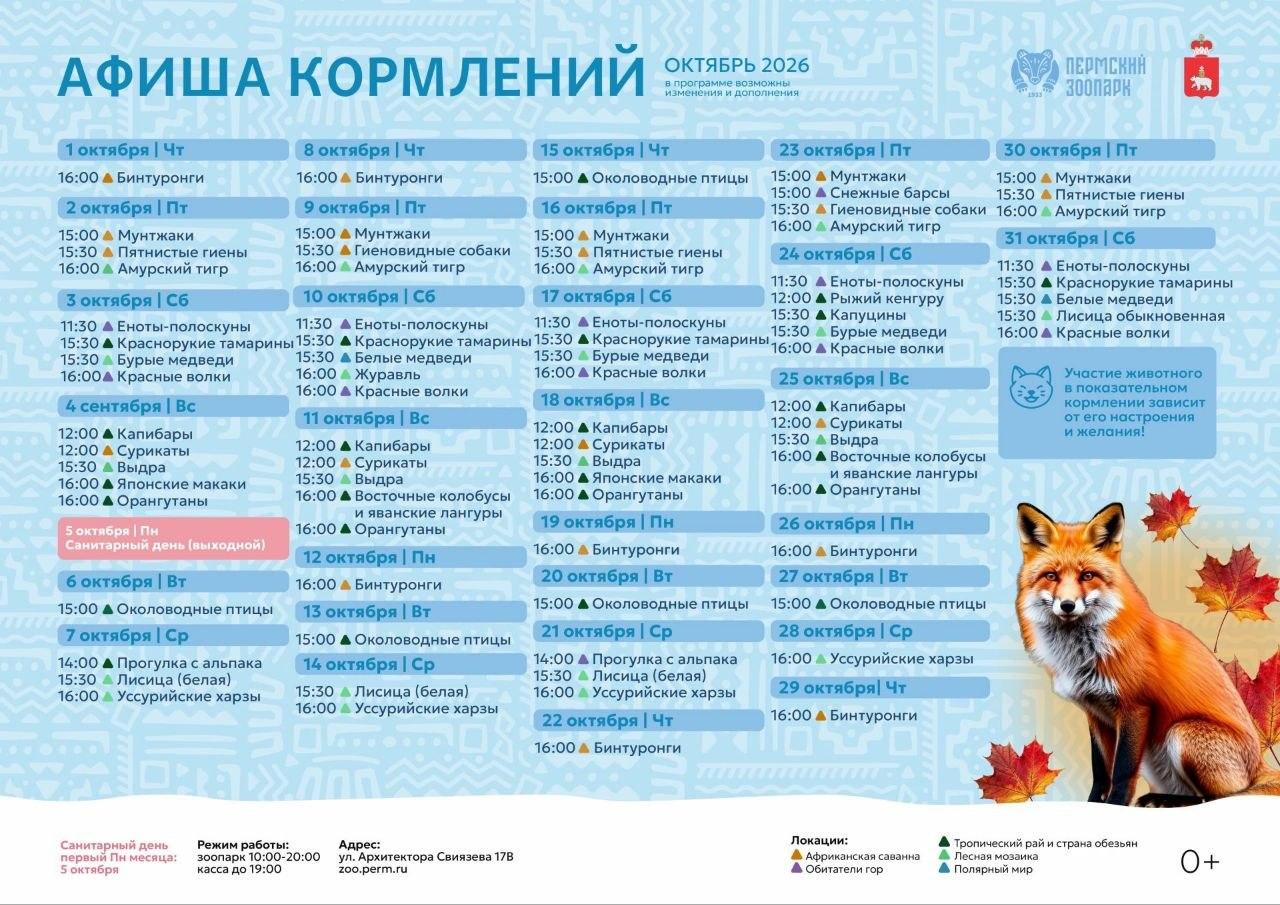 В Перми сделали акции для пенсионеров в День пожилого человека: куда сходить или бесплатно, или за…