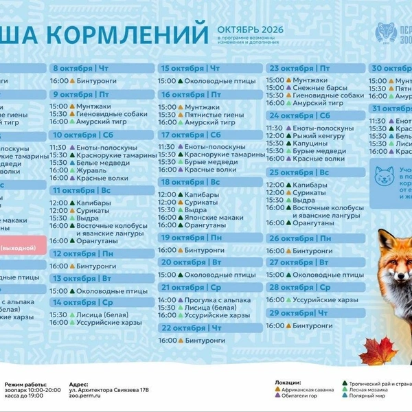 Источник: ПЕРМСКИЙ ЗООПАРК (ГКАУК «Пермский зоопарк») / Telegram