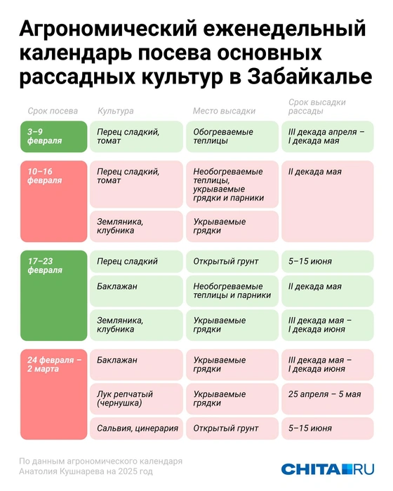 Источник: Евгений Бикунова / Городские медиа