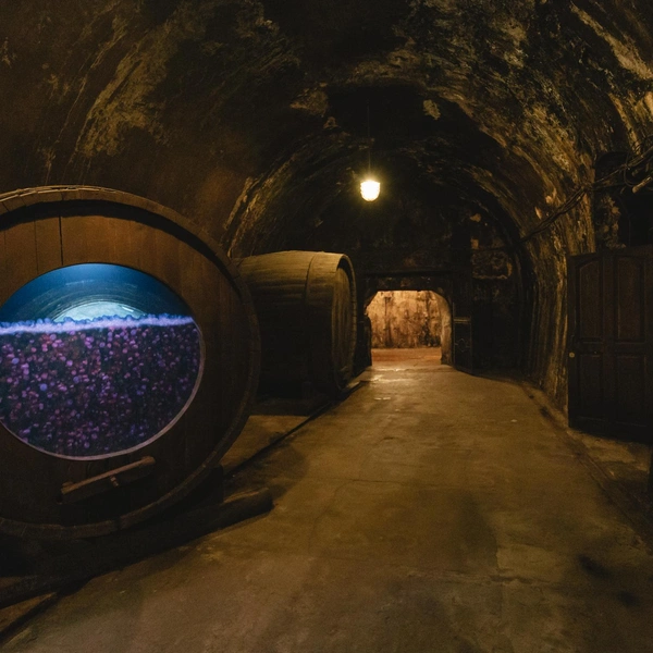 Источник: Андрей Белавин