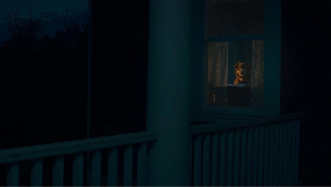 Хороший мальчик Инди борется со злом и покоряет сердца в хорроре «Глазами пса» | Источник: кадр из фильма