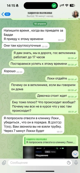 В день, когда все случилось, Родион был на нервах. Это видно по переписке | Источник: Родион Проводин