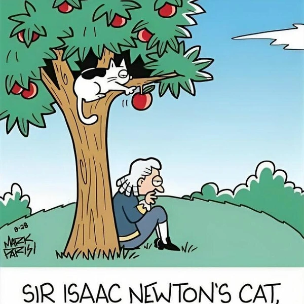 «Кот Исаака Ньютона, забытый герой» | Источник: Basic Physics