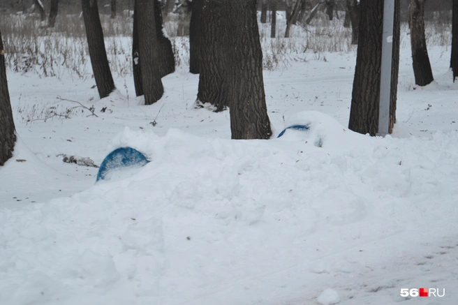 Вы не видите лавочку, а она здесь есть | Источник: Анастасия Баринова / 56.RU