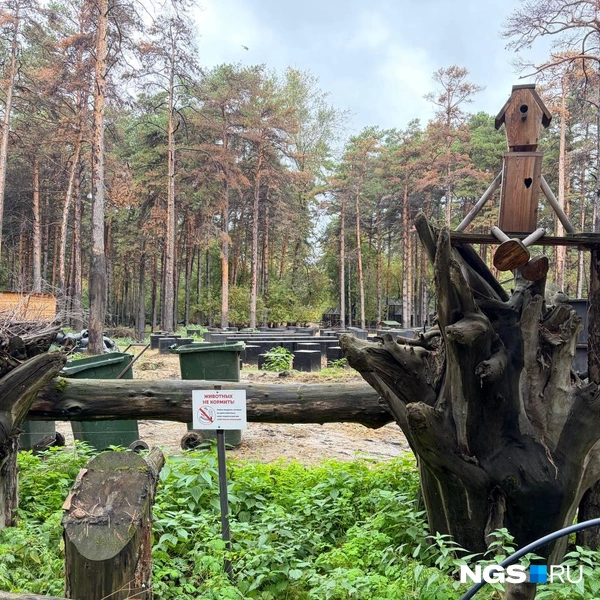 Что тут будет, пока не ясно | Источник: Настасья Медведева / NGS.RU
