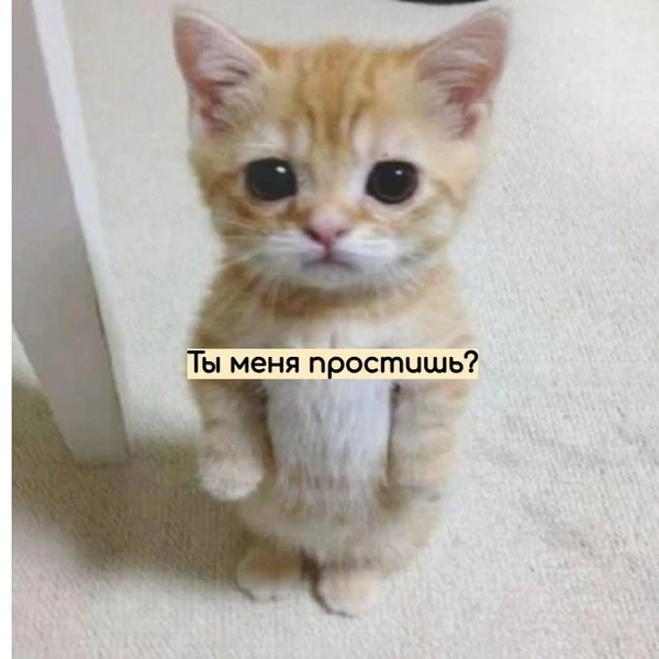 Источник: Социальные сети