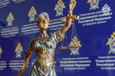 В Тындинском округе осудили мужчину за убийство бабушки