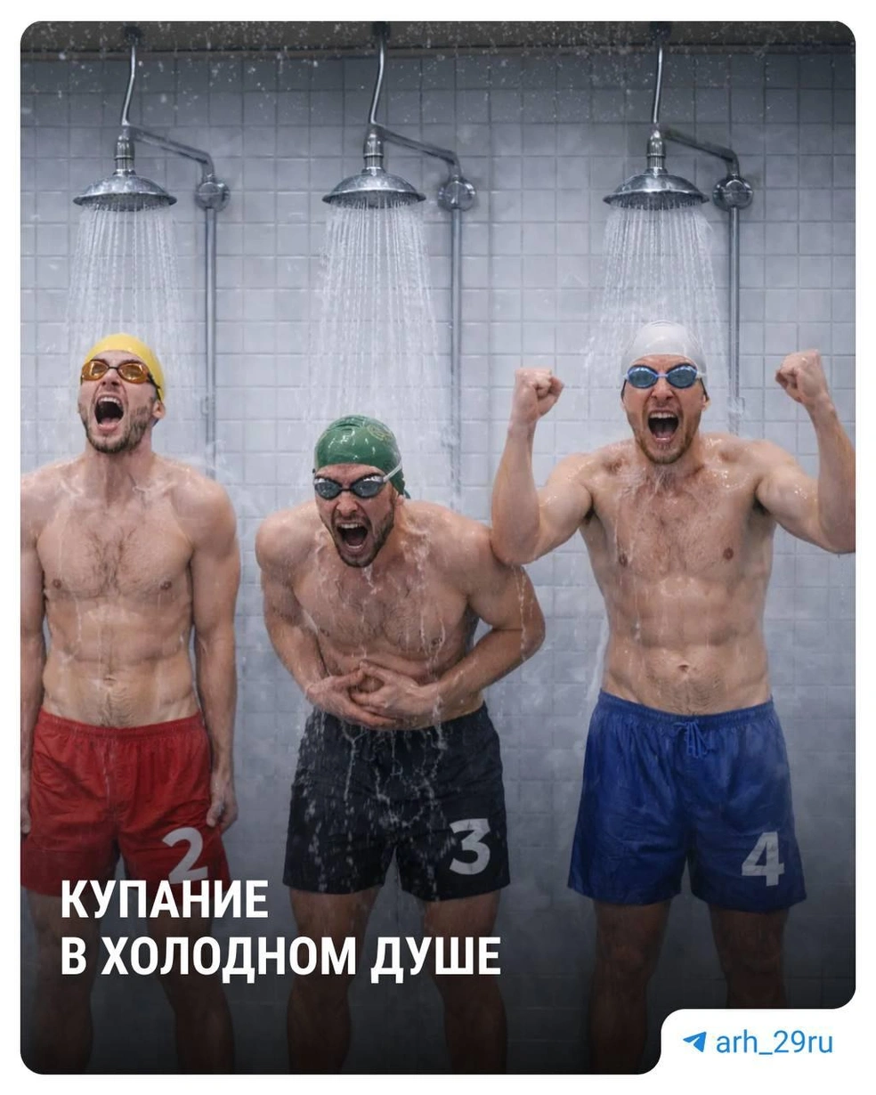 Источник: Анастасия Гусева / 29.RU