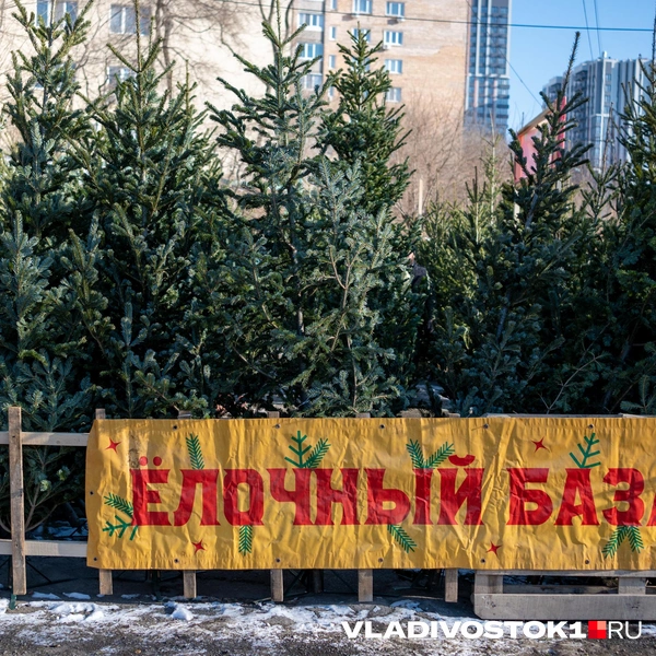 Источник: Елена Буйвол / VLADIVOSTOK1.RU