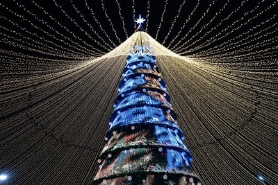 Казань начнет разбирать главную елку 15 января