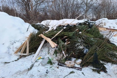 Казанцы устроили свалку елок за гаражами