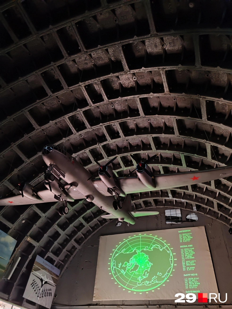 Источник: Елена Ионайтис / 29.RU