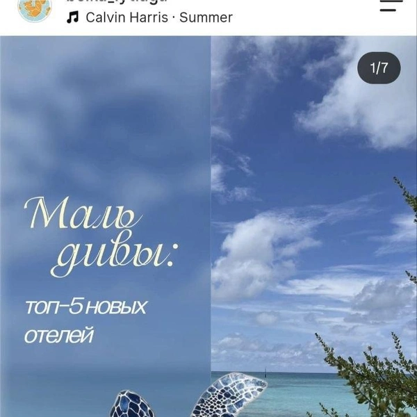 Источник:  belka_lytiaga / Instagram (экстремистская организация, деятельность запрещена на территории РФ)