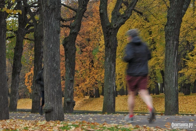 Гребень антициклона временно избавил Петербург от дождей | Источник: Михаил Огнев / «Фонтанка.ру»