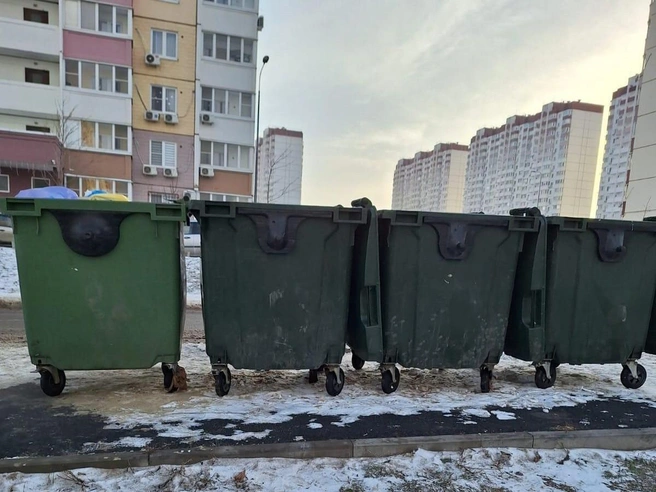 Контейнеры с площадки подняли на тротуар | Источник: читатель 161.RU