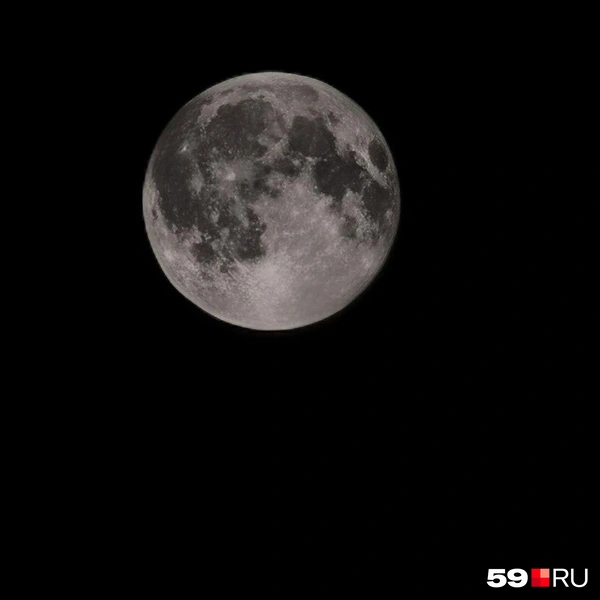 Источник: Анна Кизилова / 59.RU