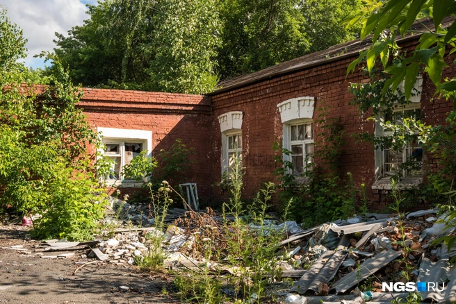 Источник: Ольга Бурлакова / NGS.RU