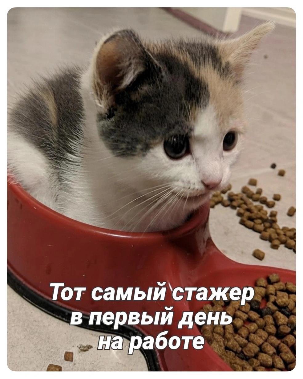 Со временем он разберется! | Источник: Полина Авдошина / Городские медиа