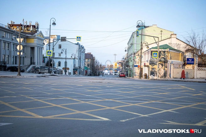 Источник: Елена Буйвол / VLADIVOSTOK1.RU