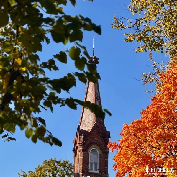 Источник: Лада Шаталова / читательница «Фонтанки»