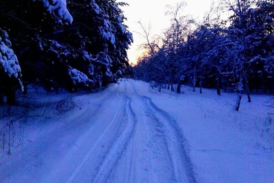 Фотограф-любитель показала заснеженный Николаевск