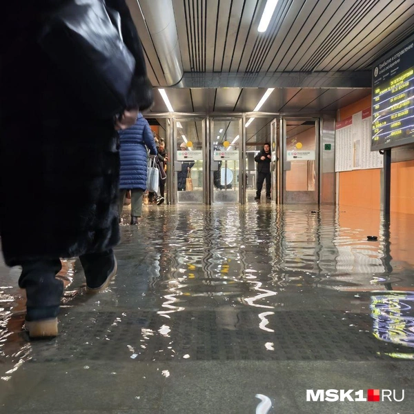 Источник: Михаил Мечев / MSK1.RU