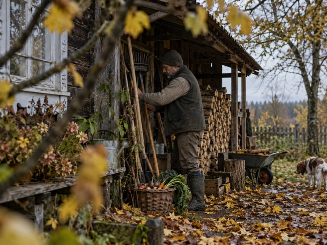 К 9 октября основные работы в поле старались уже закончить | Источник: GPT