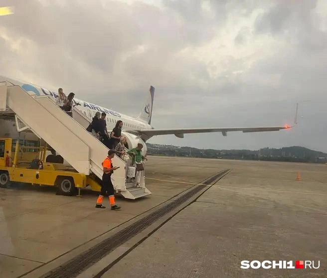 Аэропорт работает по фактическому расписанию | Источник: Анна Грицевич / SOCHI1.RU