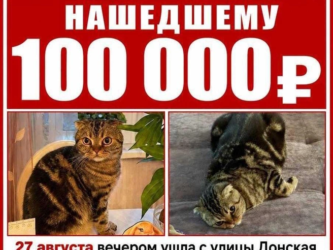 Источник: читатель E1.RU Сергей