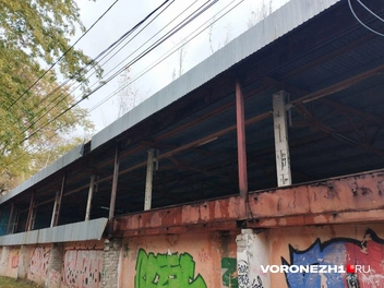 Источник: Дмитрий Волгин / Voronezh1.ru
