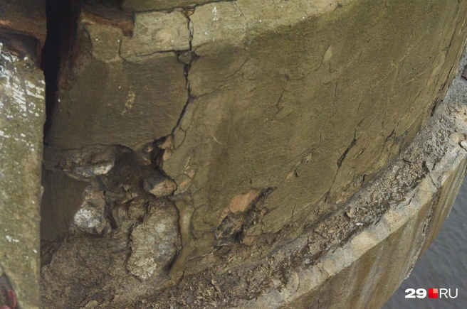 Источник: Антон Данилов / 29.RU