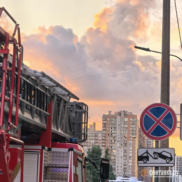 На севере Петербурга из-за пожара пришлось проводить эвакуацию | Источник: читатель «Фонтанки»