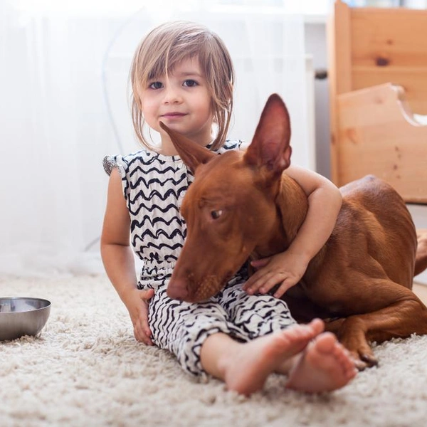 Источник: Sonya Anro/Shutterstock/Fotodom.ru
