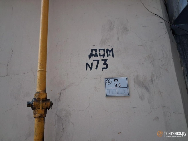 Источник: Анна Мотовилова / «Фонтанка.ру»