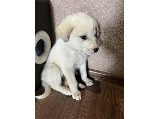 Изображение пользователя