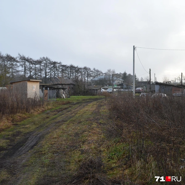 Большинство дорог внутри поселка именно такие | Источник: Максим Улитов / 71.RU