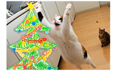 Настойчивая кошка не оставляет попытки свалить нарисованную елку (видео)
